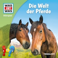 Die Welt der Pferde