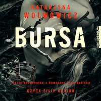 Bursa