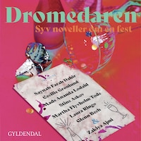 Dromedaren - syv noveller om én fest
