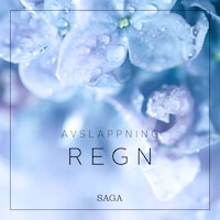 Avslappning - Regn