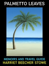 Palmetto Leaves