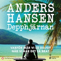 Depphjärnan