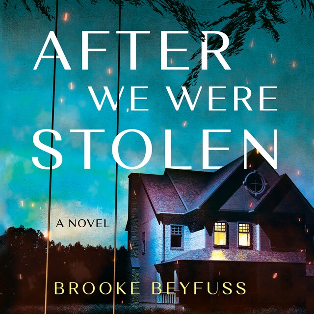 Buchcover für After We Were Stolen